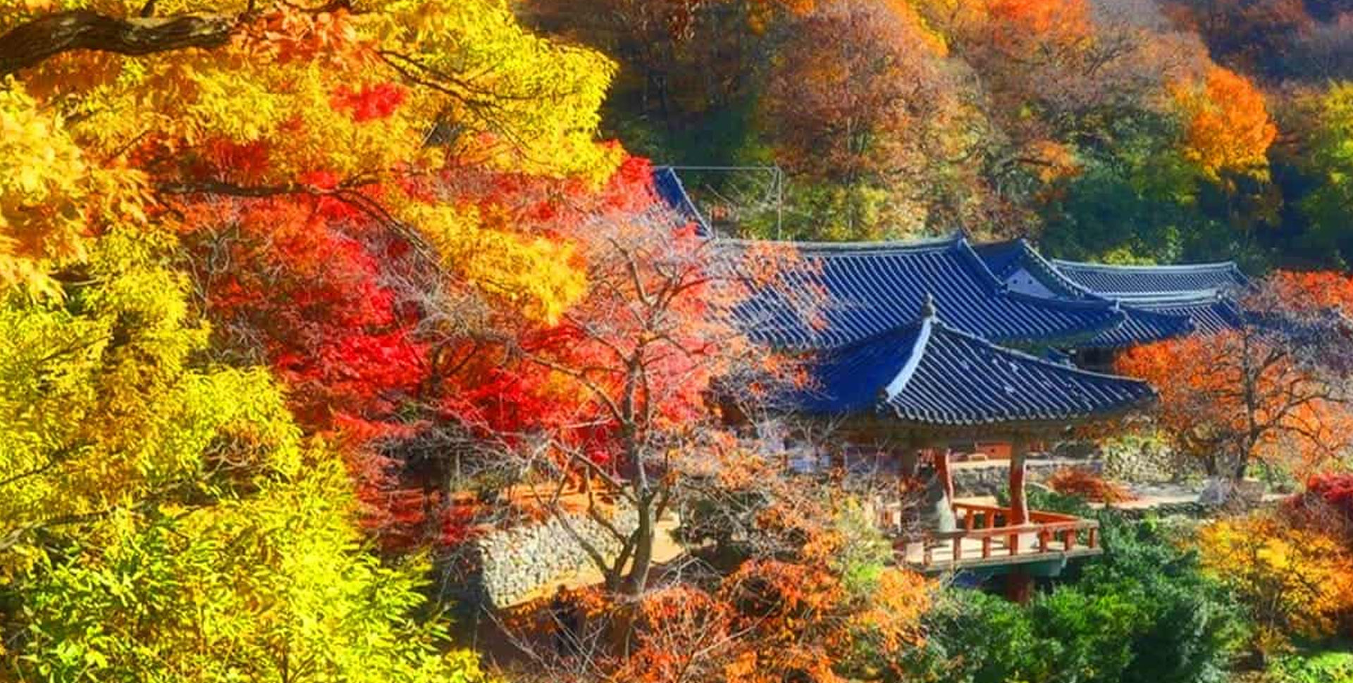 주식회사 수가인